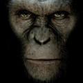 Princípios da Liderança no filme “Planeta dos Macacos – A Origem”