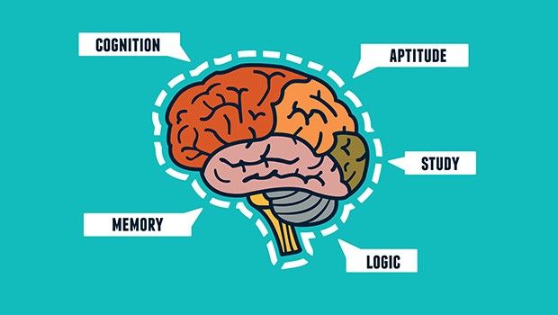 Como fazer um Mapa Mental (exemplo da loja de roupas)